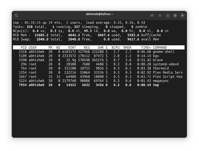 top-command-idle-process